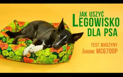 Wygodne legowisko dla psa bez szycia? 4 proste metody DIY!