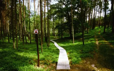 Drewniana kładka wije się przez zielone **Bory Tucholskie**. Znak zakazu jazdy rowerem stoi przy ścieżce.