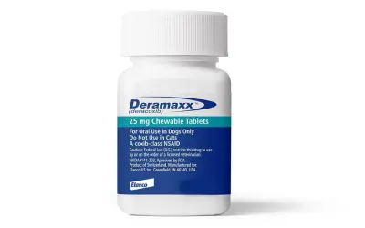 Pojemnik z tabletkami Deramaxx 25 mg dla psów, zawierający lek przeciwzapalny.