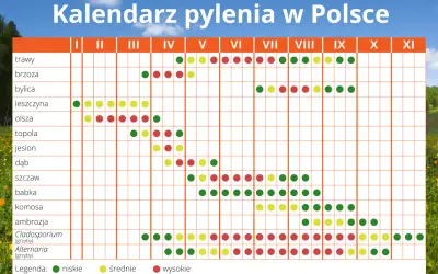 Co pyli w Szczecinie? Alerty alergika na grudzień i wiosnę