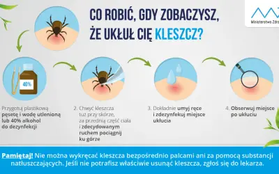 Ilustracja przedstawia cztery etapy usuwania kleszcza: przygotowanie pęsety i alkoholu, chwytanie kleszcza, dezynfekcja miejsca ukłucia i obserwacja.