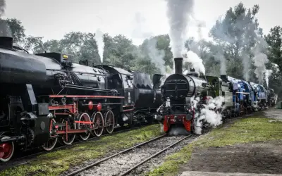 Parowóz z Poznania wyrusza w podróż do Wolsztyna, wypuszczając kłęby dymu.