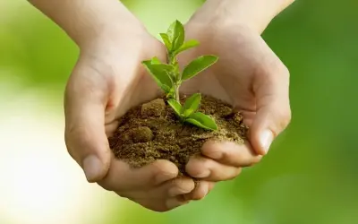 Mani che sorreggono una piantina. Come capire se uno psicologo è bravo: cerca chi nutre la tua crescita.