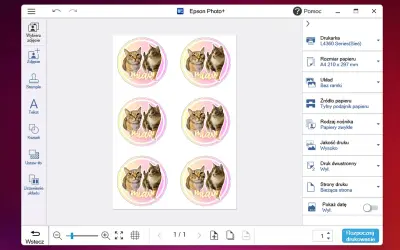 Ekran programu Epson Photo+ z widokiem sześciu okrągłych naklejek z kotami i opcjami drukowania.