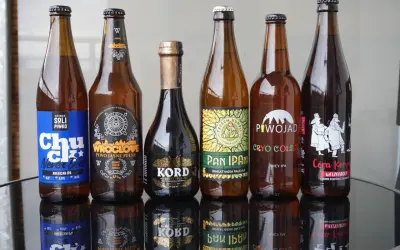 Siedem butelek piwa, w tym popularne marki piwa: Sól Piwko, Wroclove, Kord, Pan Ipan, Piwojad i Córa Koryn.