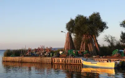 Drewniany pomost na zalewie wiślanym z łodziami i sieciami rybackimi.