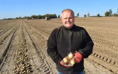 Rolnik trzyma świeżo zebrane cebule na polu. W tle widać rzędy wykopanych warzyw, maszyny rolnicze i drzewa. To prawdziwe klasy ziemi.