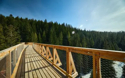 Drewniana kładka w koronach drzew, z widokiem na las. Idealne miejsce na spacer, sprawdź **Brama Gorce cennik**!