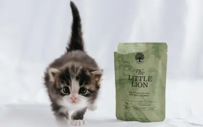 En söt kattunge tittar fram bredvid en påse kattmat "The Little Lion".