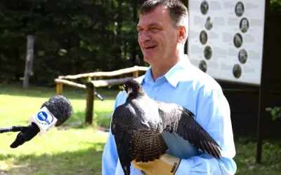 Mężczyzna w błękitnej koszuli prezentuje sokoła na rękawicy. Obok mikrofon TVN24.