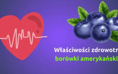 Serce z EKG i borówki amerykańskie. Dowiedz się, jakie witaminy mają borówki i jak wpływają na zdrowie.