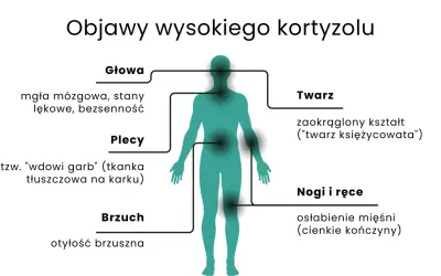 Nadmiar kortyzolu objawy: mgła mózgowa, lęki, bezsenność, garb, otyłość brzuszna, księżycowata twarz, osłabienie mięśni.