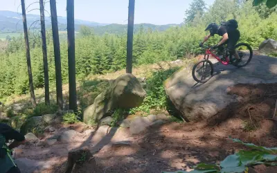 Mountainbiker meistert felsige, schnelle Trails in einem sonnigen Wald.