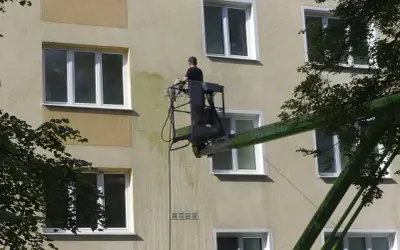 Jak usunąć zielony nalot z elewacji - skuteczne metody i porady