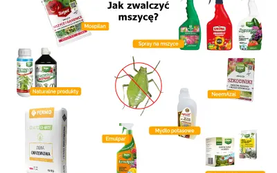 Domowe sposoby na mszyce: Mospilan, naturalne produkty, ziemia okrzemkowa, spraye, NeemAzal, mydło potasowe, taśmy lepowe.