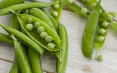 Baccelli di piselli freschi, alcuni aperti, rivelano i loro chicchi verdi. I piselli sono legumi nutrienti, perfetti per un pasto sano.