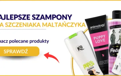 Szampon dla szczeniaka: Sekrety bezpiecznej pielęgnacji malucha