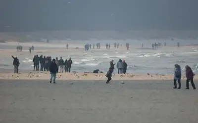 Ludzie spacerują po plaży, ciesząc się chłodnym klimatem. W oddali widać morze i mewy.