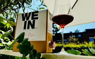 Ein Glas Rotwein steht neben einem Karton mit der Aufschrift "WE IN Box". Der Wein im Karton ist eine praktische Alternative zur Flasche.