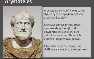 Busta Arystotelesa, filozofa, który stworzył pierwszy naukowy system klasyfikacji organizmów, opisując rośliny i zwierzęta.