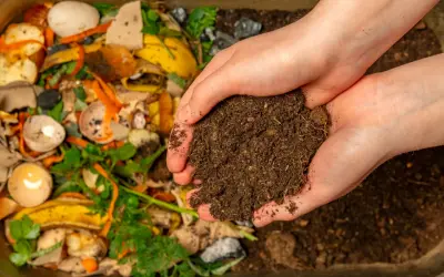 Dłonie trzymające ziemię, która powstała z rozkładu resztek organicznych. Tak destruenci określają rolę w ekosystemie, przetwarzając odpady w cenny nawóz.