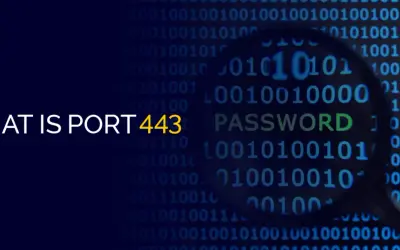Co to jest port 443? Obraz przedstawia kod binarny i hasło, sugerując bezpieczeństwo sieci.