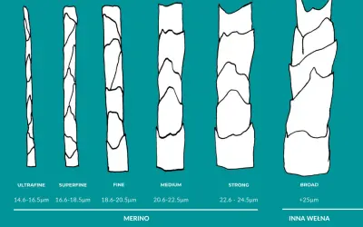 Porównanie grubości włókien wełny: ultrafine, superfine, fine, medium, strong (merino) i broad (inna wełna). Dowiedz się, jaka wełna nie gryzie – im cieńsza, tym delikatniejsza.
