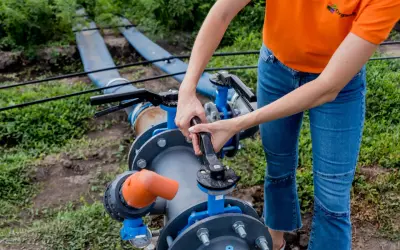 Osoba reguluje wyłącznik ciśnieniowy do hydroforu, dbając o prawidłowe nawadnianie upraw.