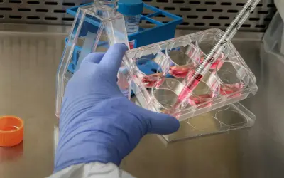 Badacz w rękawiczce pobiera pipetą płyn z naczynia, badając funkcje organelli komórkowych.