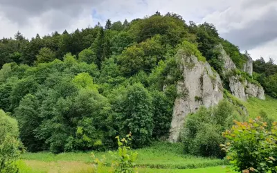 Malowniczy krajobraz z wapiennymi skałami, przypominającymi Maczugę Herkulesa, otoczony bujną zielenią. Trasa turystyczna wije się wśród drzew.
