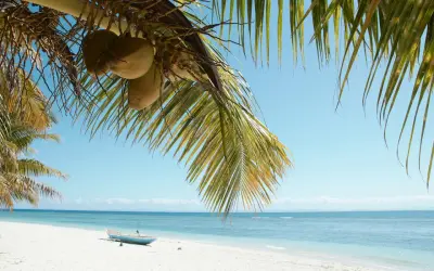 Palmy z kokosami nad białą plażą i turkusowym morzem. Marzysz o podróży? Sprawdź, ile się leci na Madagaskar!