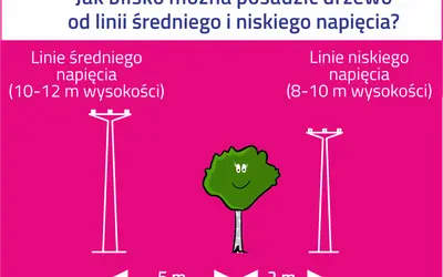 Ilustracja przedstawia linie energetyczne średniego i niskiego napięcia oraz drzewo z podanymi odległościami.