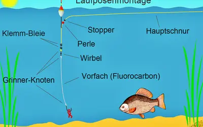 Eine Laufposenmontage mit Stopper, Perle, Wirbel, Klemmblei und Grinner-Knoten. Ein Fluorocarbon-Vorfach mit Haken und Köder wartet auf einen Fisch.