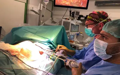 Chirurdzy podczas operacji. Na ekranie widać obraz z wnętrza ciała, co może być związane z zabiegiem mastektomii.