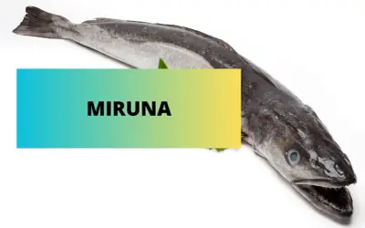 Cała miruna, czy to dobra ryba? Świeża ryba na białym tle z napisem "MIRUNA".
