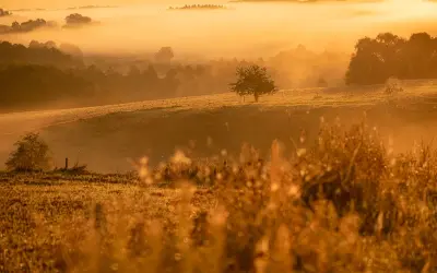 Fotograf jak zacząć - proste kroki do udanej fotografii dla każdego