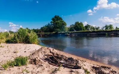 Piaskowa plaża nad Wartą, z ogniskiem i zielonymi zaroślami. W tle drzewa i błękitne niebo.