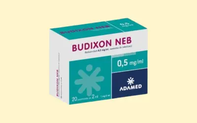 Opakowanie leku budezonid lek-am Budixon Neb 0,5 mg/ml, zawiesina do nebulizacji. Zawiera 20 ampułek po 2 ml.