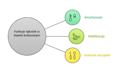 Funkcje łąkotek w kolanie: amortyzacja, stabilizacja i ochrona chrząstki.