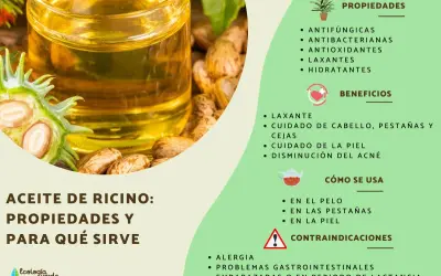 Aceite de ricino para el pelo, con sus semillas y propiedades. Ideal para cuidado capilar, pestañas y piel.