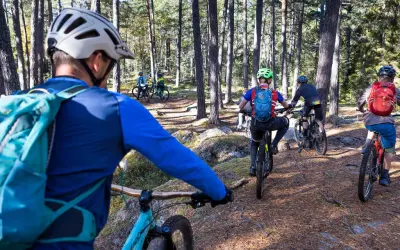 Grupp cyklar på en skogsstig i Falun. Solen lyser genom träden och skapar skuggor på marken.