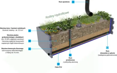 Przekrój przez ogród deszczowy z roślinnością hydrofitową. Pokazuje warstwy: kora, piasek, keramzyt, folia PCV, rury spustową, przelewową i drenarską.