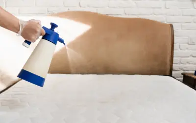 Spraying a mattress to combat memory foam dust mites.
