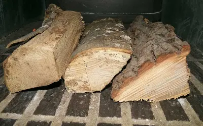 Trois bûches de bois de chauffage, prêtes à être consumées, dégagent l'essence de bois de chauffage.