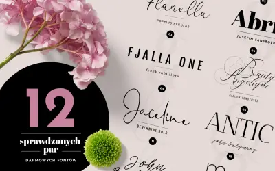 Kolekcja 12 darmowych fontów, w tym elegancki moontime font, obok różowych hortensji i zielonej chryzantemy.