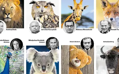 Najdziwniejsze imiona jakie polscy celebryci nadali swoim zwierzętom: lew, sowa, żyrafa, lis, paw, koala, miś, żubr.