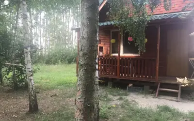 Drewniany domek na łowisku Admar w Dąbiu Lubuskim, otoczony zielenią i drzewami.