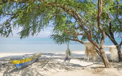 Łódź rybacka i sieci pod drzewem na plaży. Filipiny ciekawostki: takie widoki czekają na Ciebie!