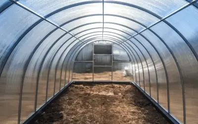 Wnętrze tunelu foliowego z łukowatym dachem z poliwęglanu, który pokazuje, czy poliwęglan można wyginać.