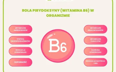 Wizualizacja przedstawia rolę witaminy B6 w organizmie: metabolizm aminokwasów, węglowodanów, tłuszczów, syntezę neuroprzekaźników, regulację hormonalną, ochronę komórkową, odporność oraz regulację nastroju i snu.